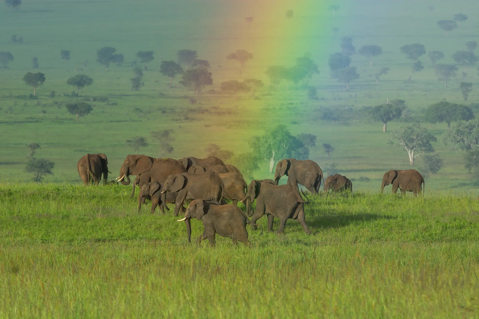 Kidepo Valley National Park