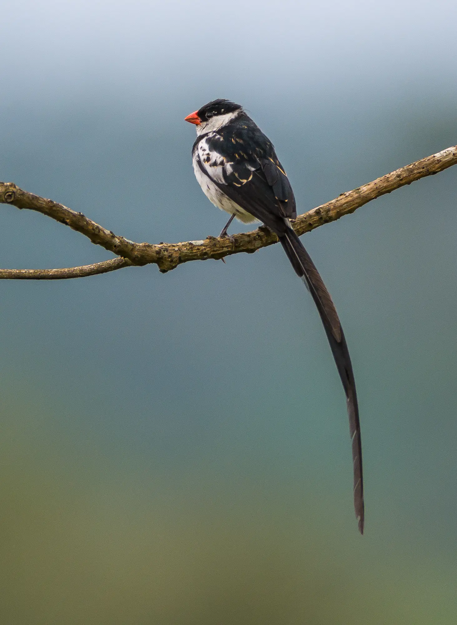 Semliki National Park